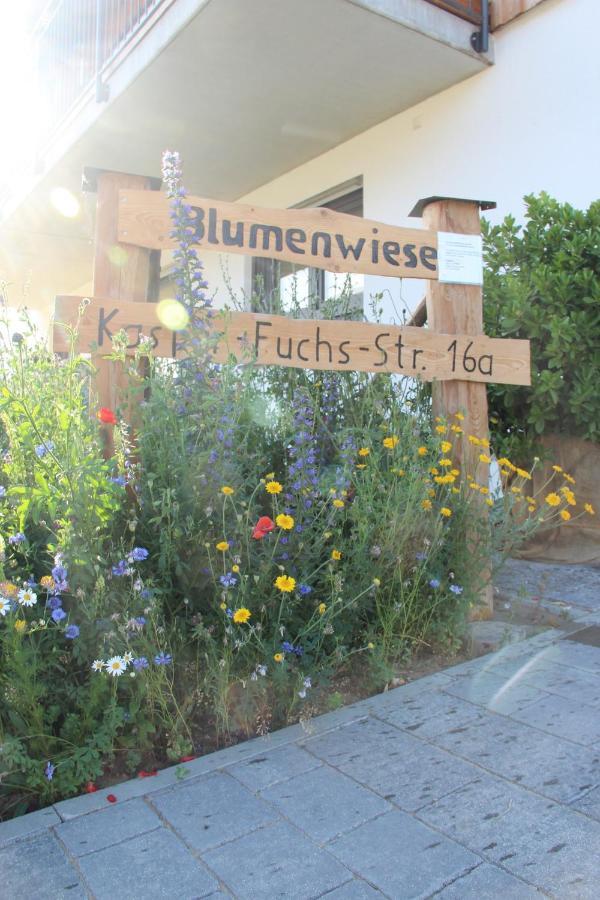 Ferienwohnungen "Blumenwiese" 多瑙河畔迪林根 外观 照片